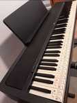 KORG B2 com suporte e pedal de sustain!