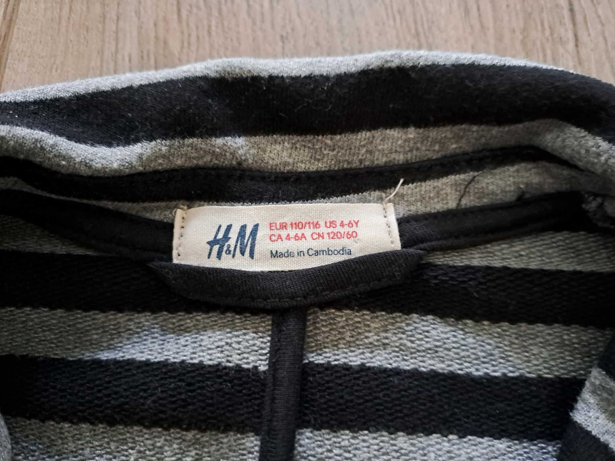 Marynarka dla chłopca H&M- bawełniana- 110/116