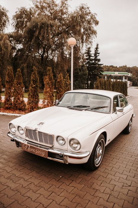 Auto do Ślubu Jaguar xj6 Piękny Klasyk