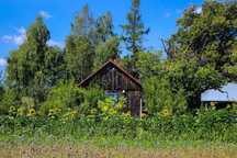 Domek za miastem - WOLNE TERMINY W LIPCU 30.06-04.07 I 07-11.07