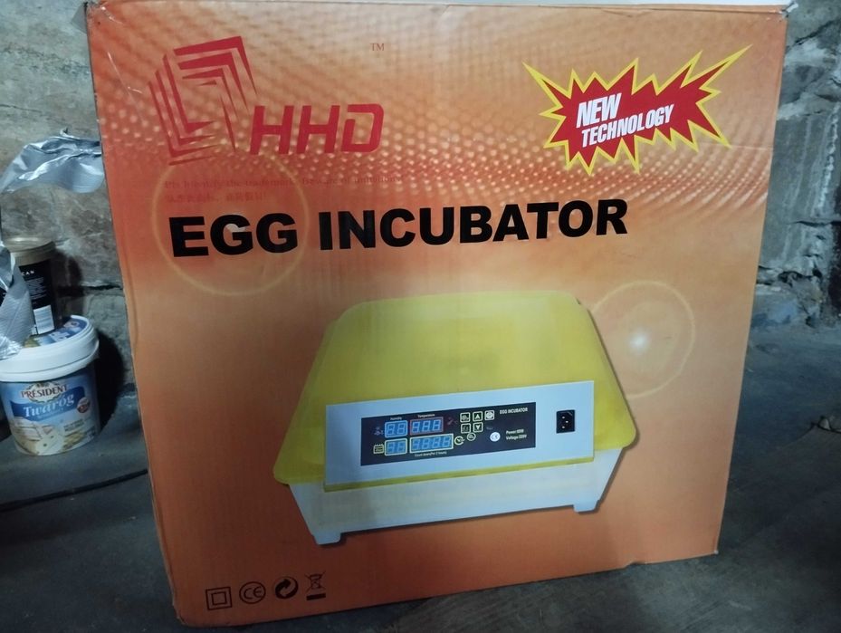 Inkubator kliknij Egg 56