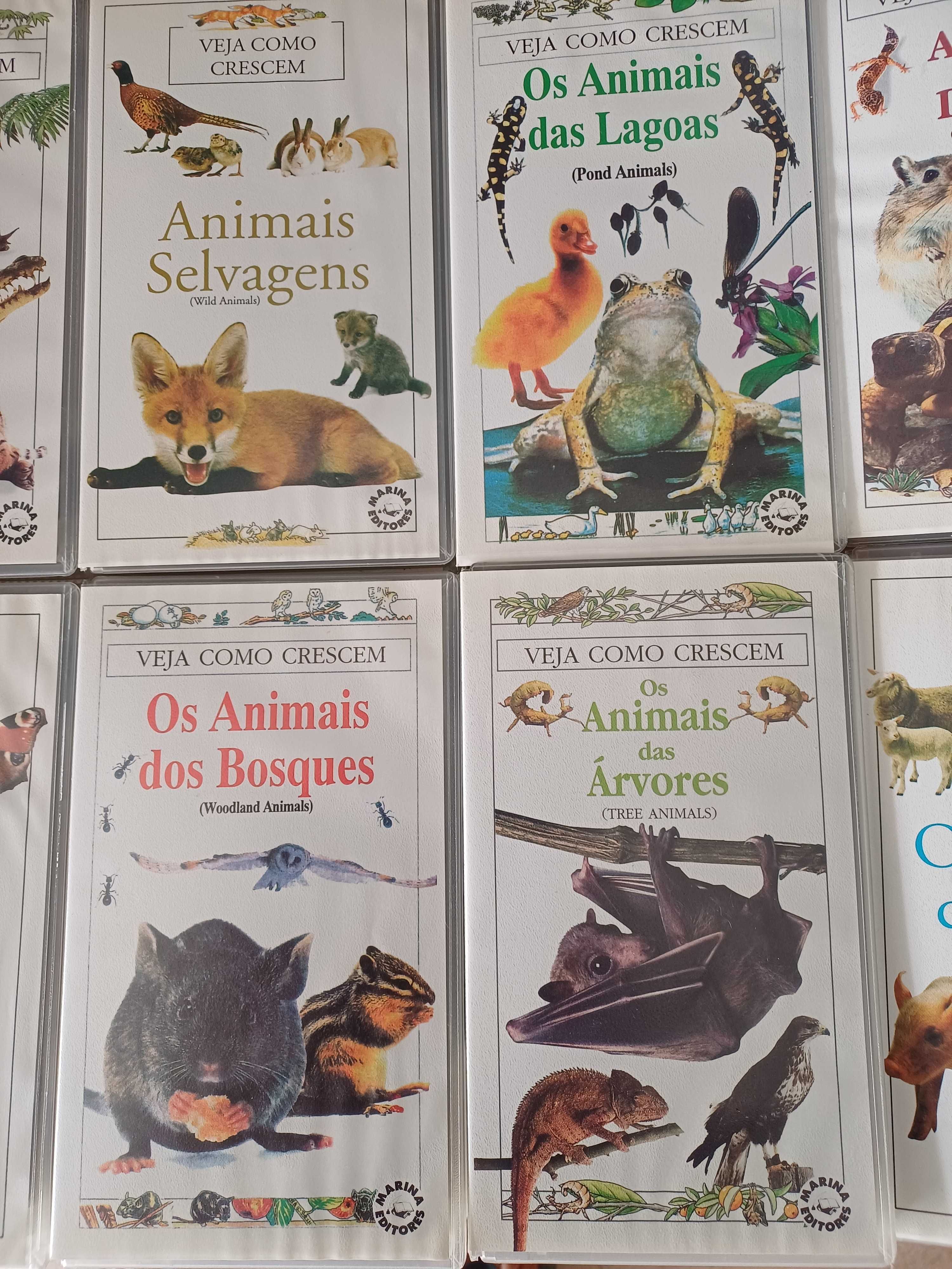 Documentários Veja Como Crescem VHS's 10 unidades