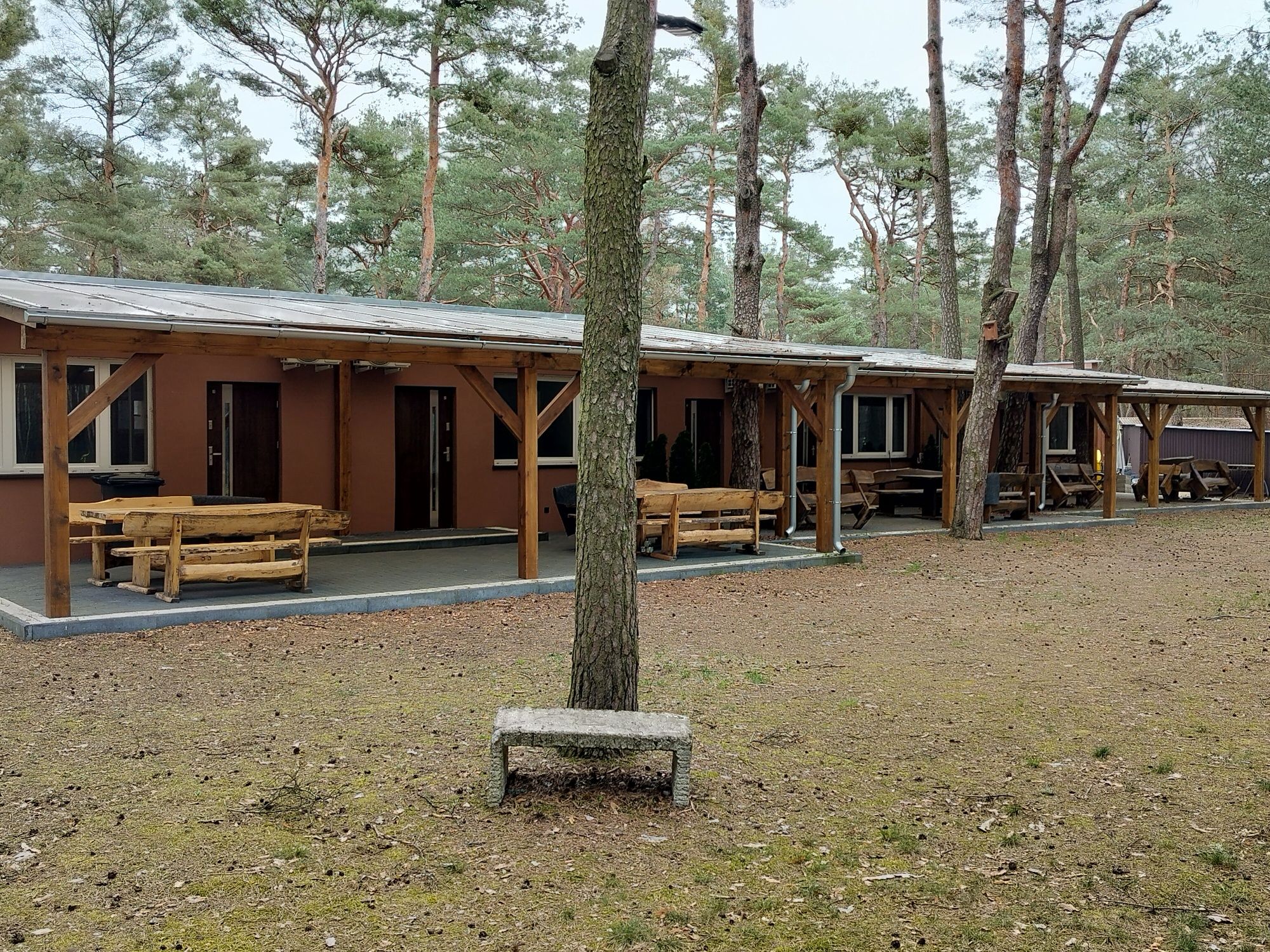 Leśne domki nad jeziorem Borek kosarzyn Gubin