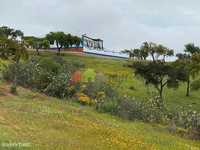 Monte Alentejano com 20 hectares em Serpa