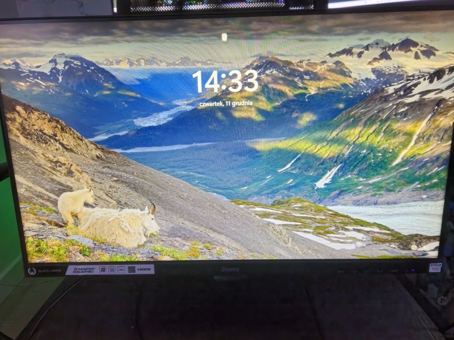 Monitor iiyama G-Master G2530HSU (24.5 cala, matryca TN)