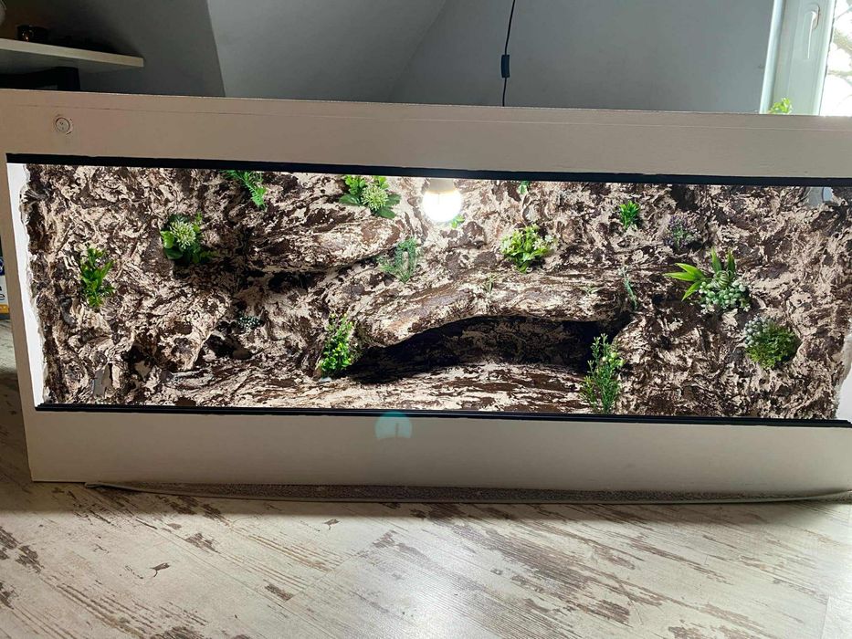 Terrarium dla agamy brodatej