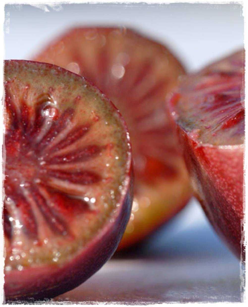 Planta de Kiwi Mini Vermelho - FRUTO SUPER DOCE Produtiva