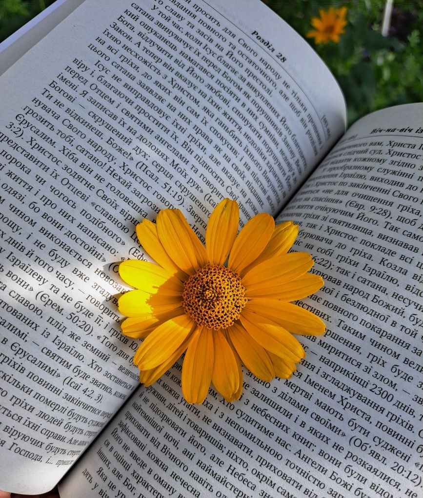 Книга Еллен Уайт "Велика боротьба" Нова