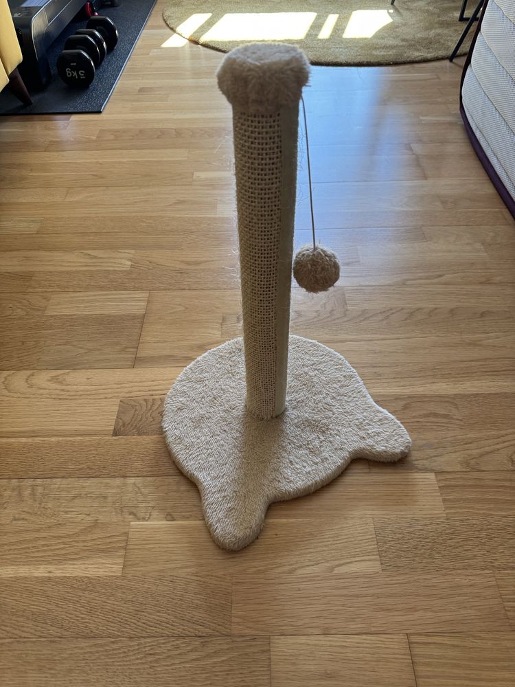 Arranhador Gatos