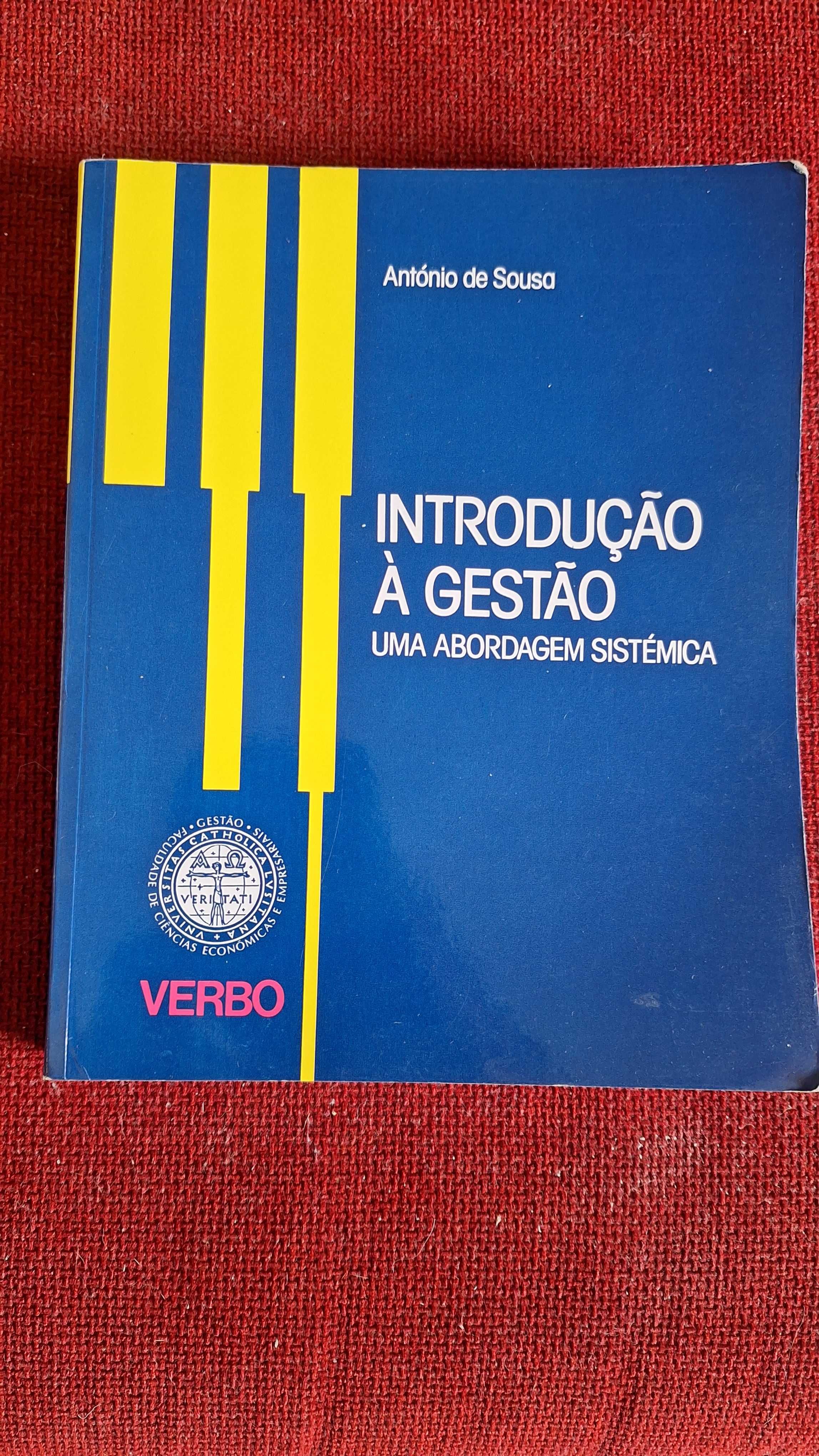 Introdução à  gestão