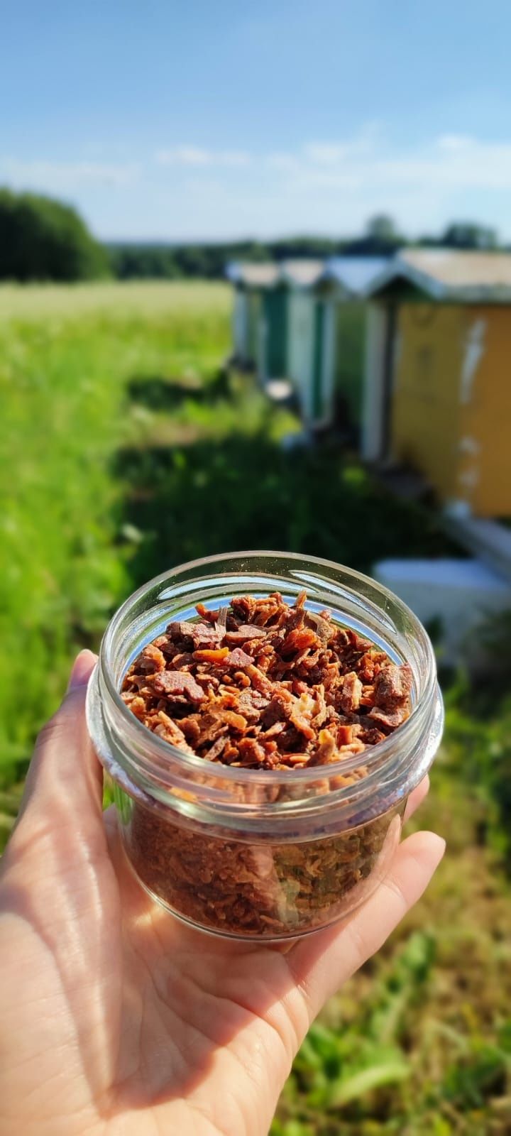 Miód Pszczeli 2025, pyłek pszczeli, propolis, kit.