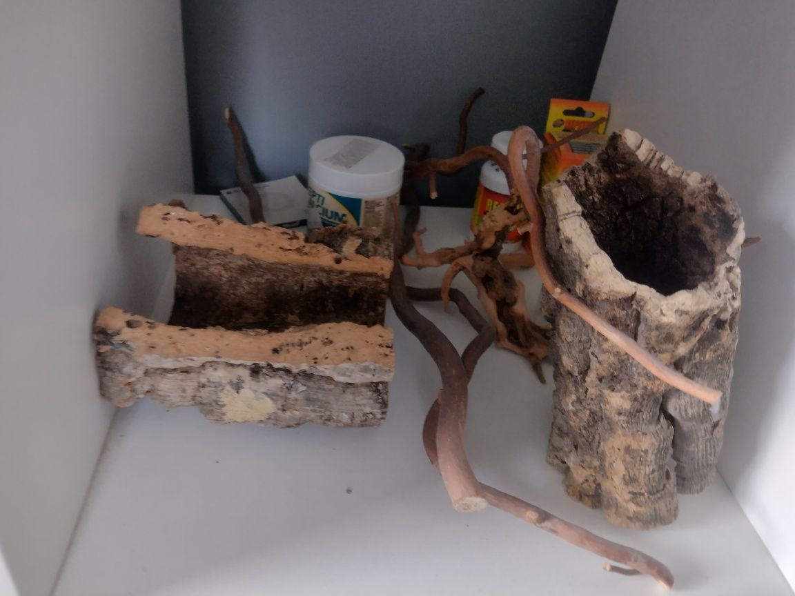 Terrarium dla agamy 100x40x40cm