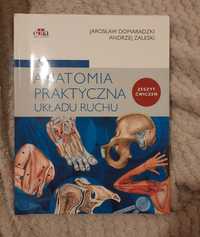 Anatomia praktyczna układu ruchu