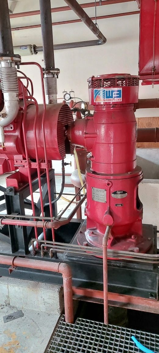 Motor industrial cummins