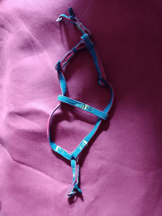 Повідець котику до 8 кг ваги тварини