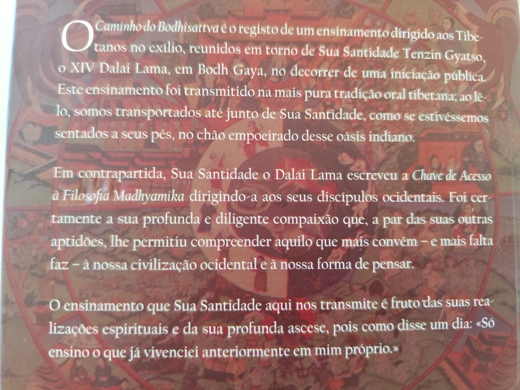 Livro: O Ensinamento de Dalai Lama