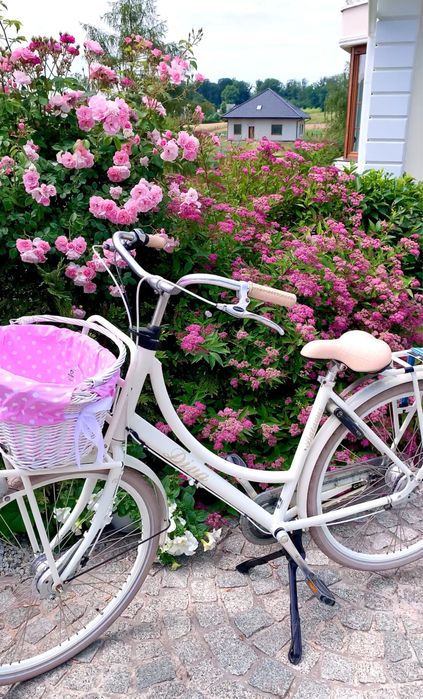 Rower miejski   batavus diva bialy z koszem miejski damka  damski