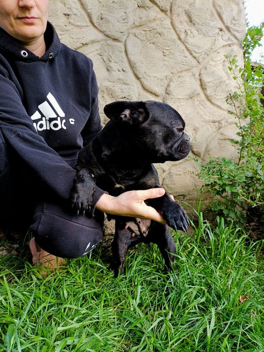 Француженки 2.5-3.5роки