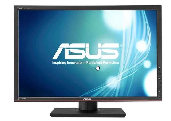 Asus ProArt Display PA248Q