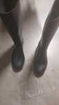 Botas hipismo 31