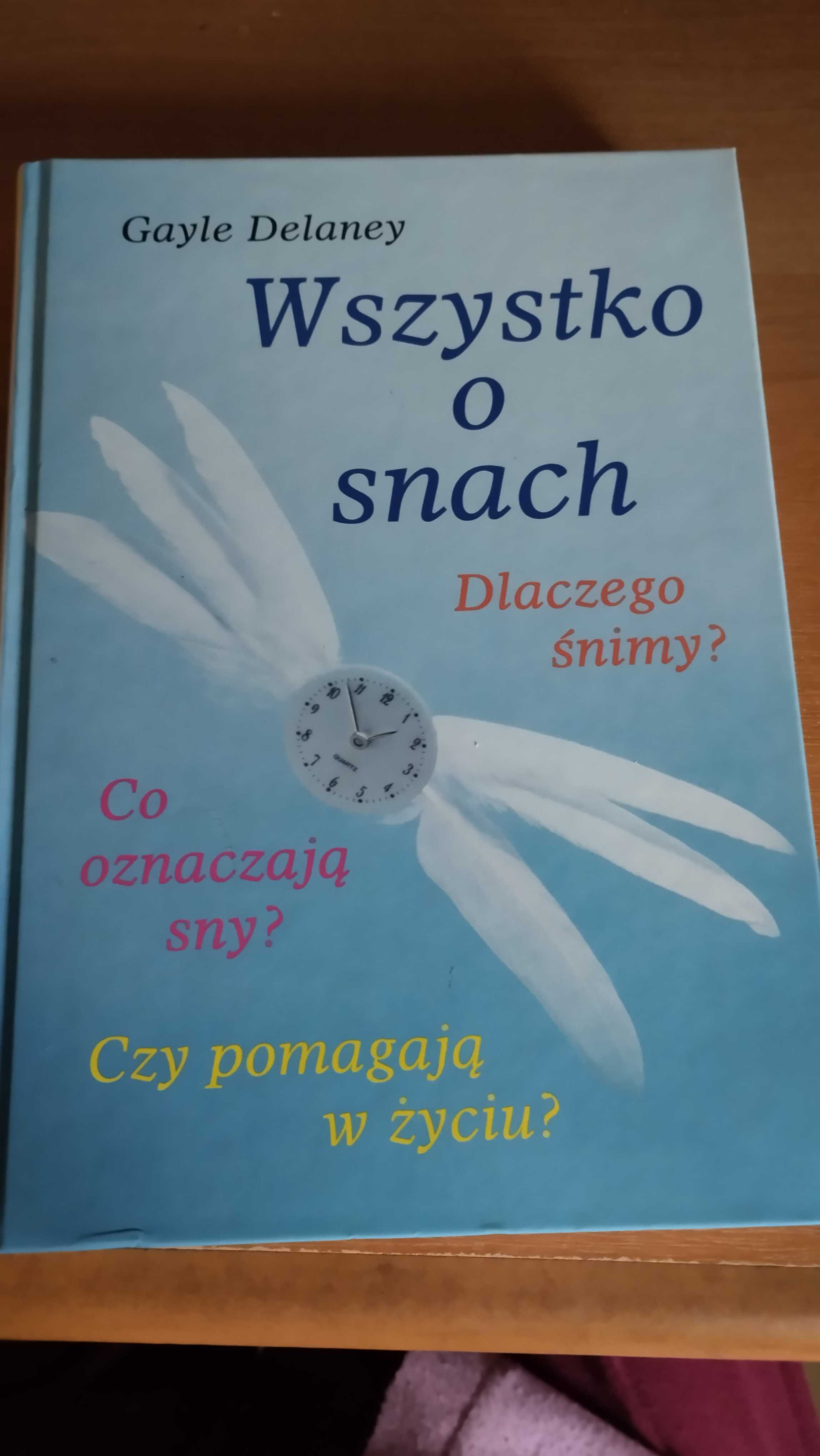 Gayle Delaney Wszystko o snach