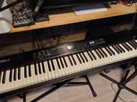 Roland rd-300nx +twardy pokrowiec+statyw stage piano