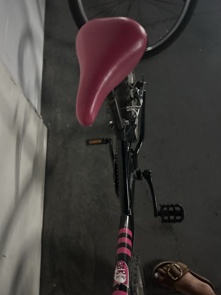 Bicicleta preta e coe de rosa