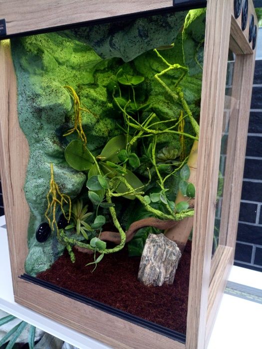 Terrarium nr20 40/40/60 dąb craft dla gekona orzęsionego NA ZAMÓWIENIE