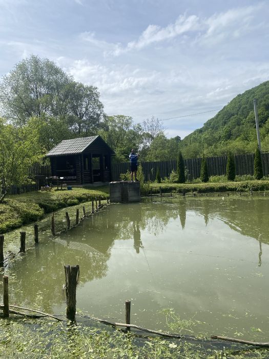 Дача в лісі с. Грушово (рибник)