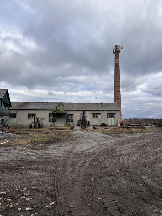 Пилорама здам/продам !