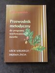 Przewodnik metodyczny do programu wychowawczego swietlic