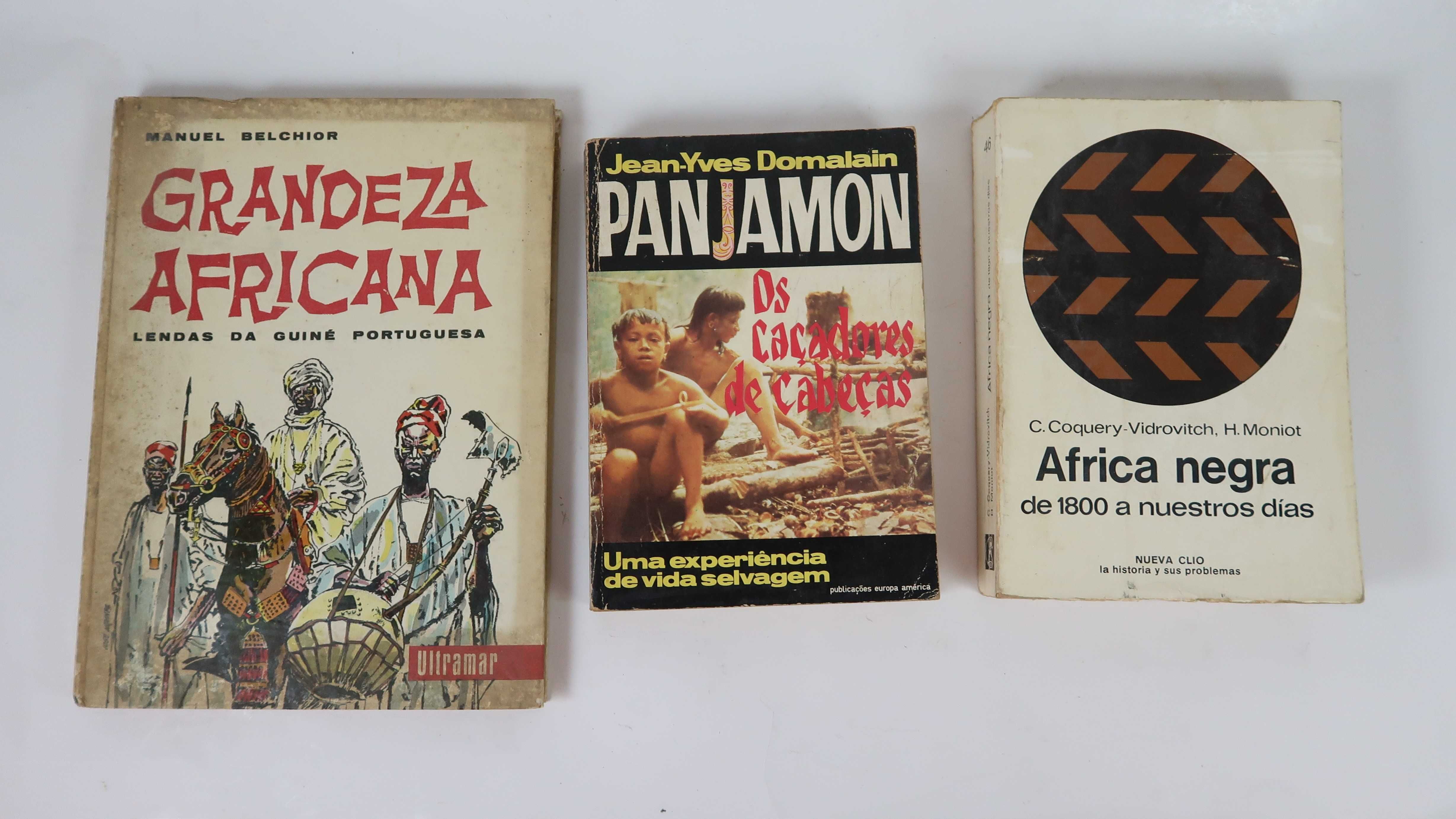 Livros sobres Africa / Antropologia, cada