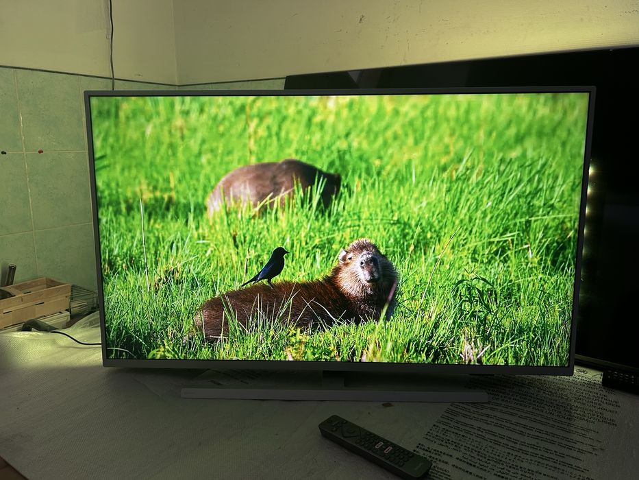 Telewizor Philips 43PUS7304 4K UHD Smart TV z AMBILIGHT PETARDA