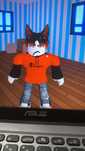 Skin Roploks 2020