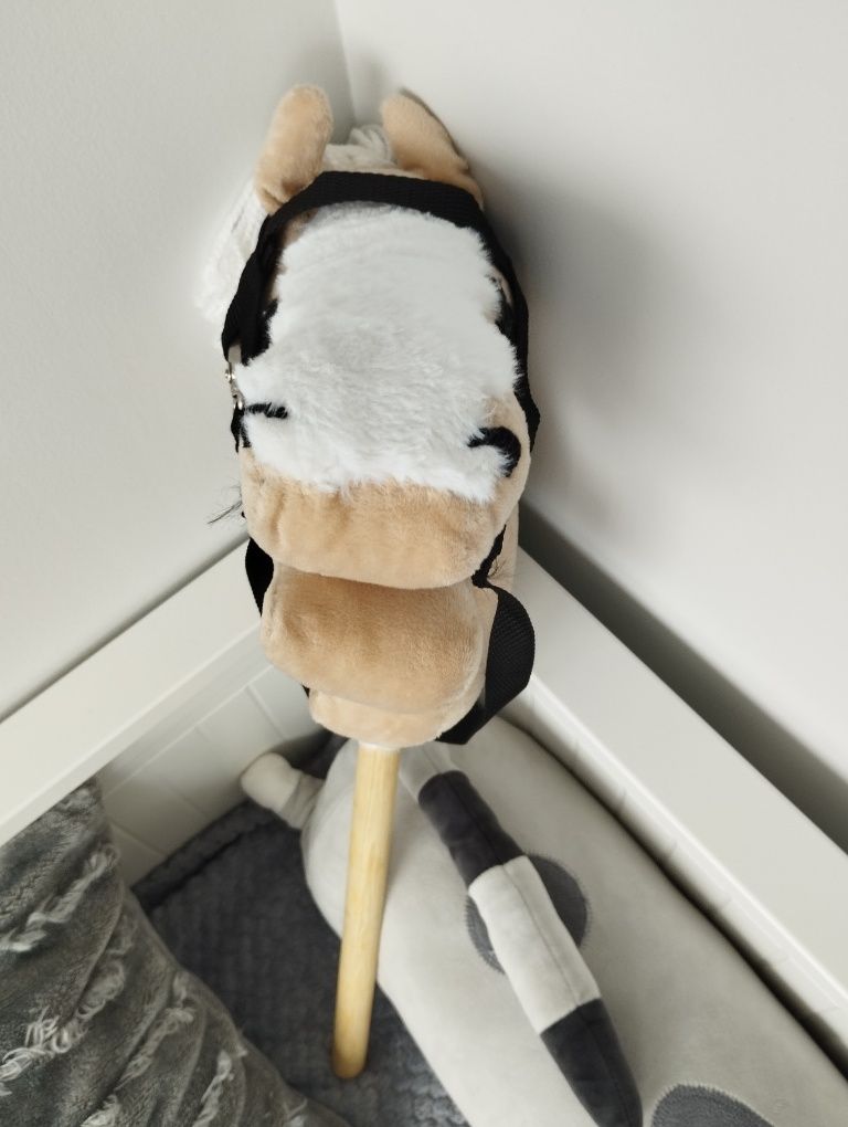 Konik Hobby Horse