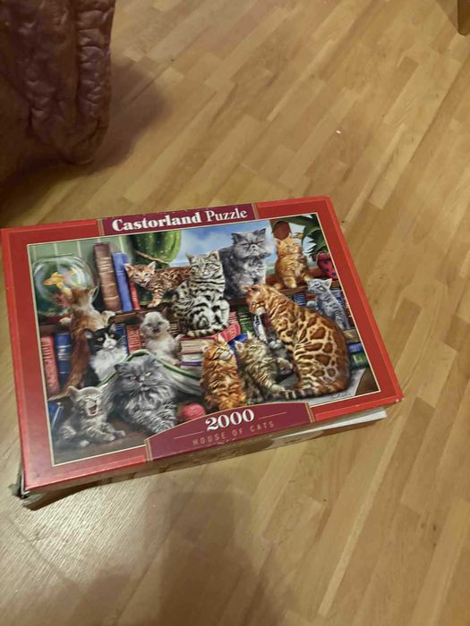 puzzle koty 2000 elementów