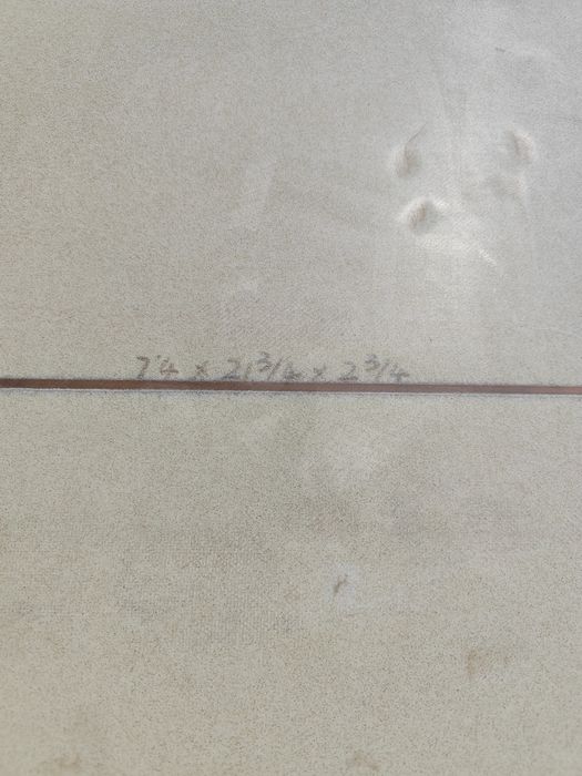 Prancha de surf Evolution / Mini Malibu ( surfboard)