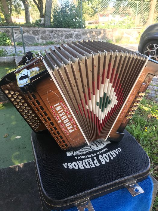 Vendo concertina semi nova em SOL DO FA