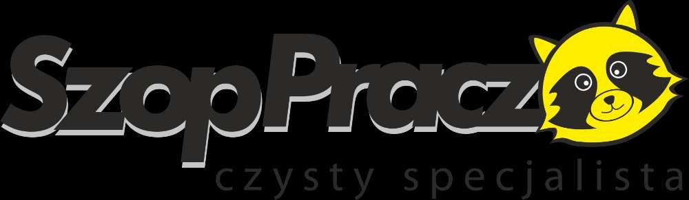 PROFESJONALNE PRANIE / CZYSZCZENIE tapicerki dywanów wykładzin krzeseł