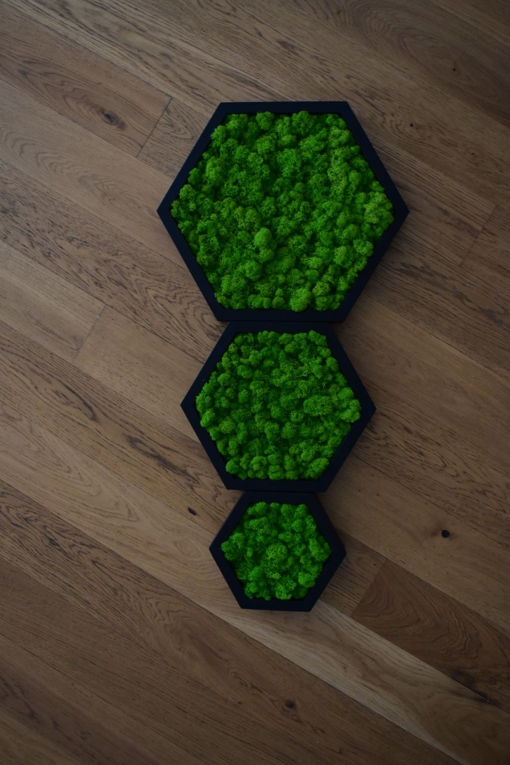 Zestaw obraz HEXAGON mech Chrobotek 3 szt M, L, XL, jesion, drewno