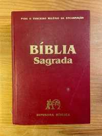 Bíblia Sagrada (portes grátis)