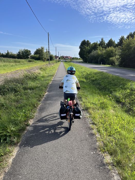 Rower bez wkładu od 5 lat koła 20” 6 biegów