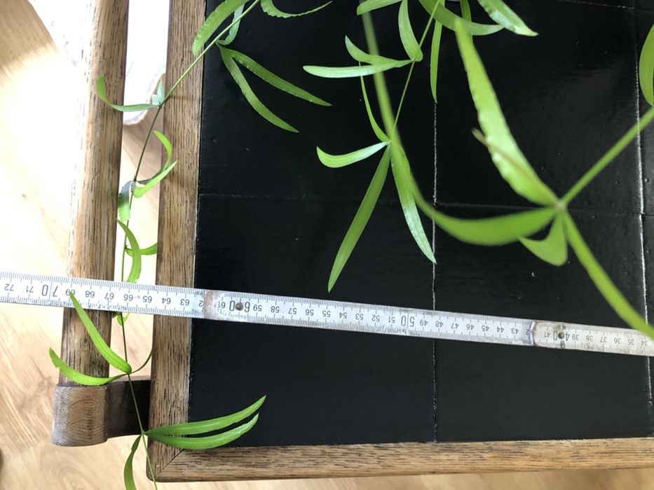 Barek na kułkach antyk