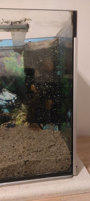 Oddam akwarium 112l czytaj opis rezerwacja