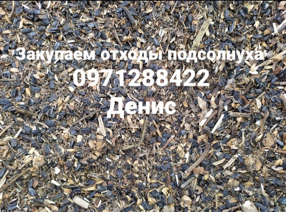 Покупаем отходы подсолнуха дорого.