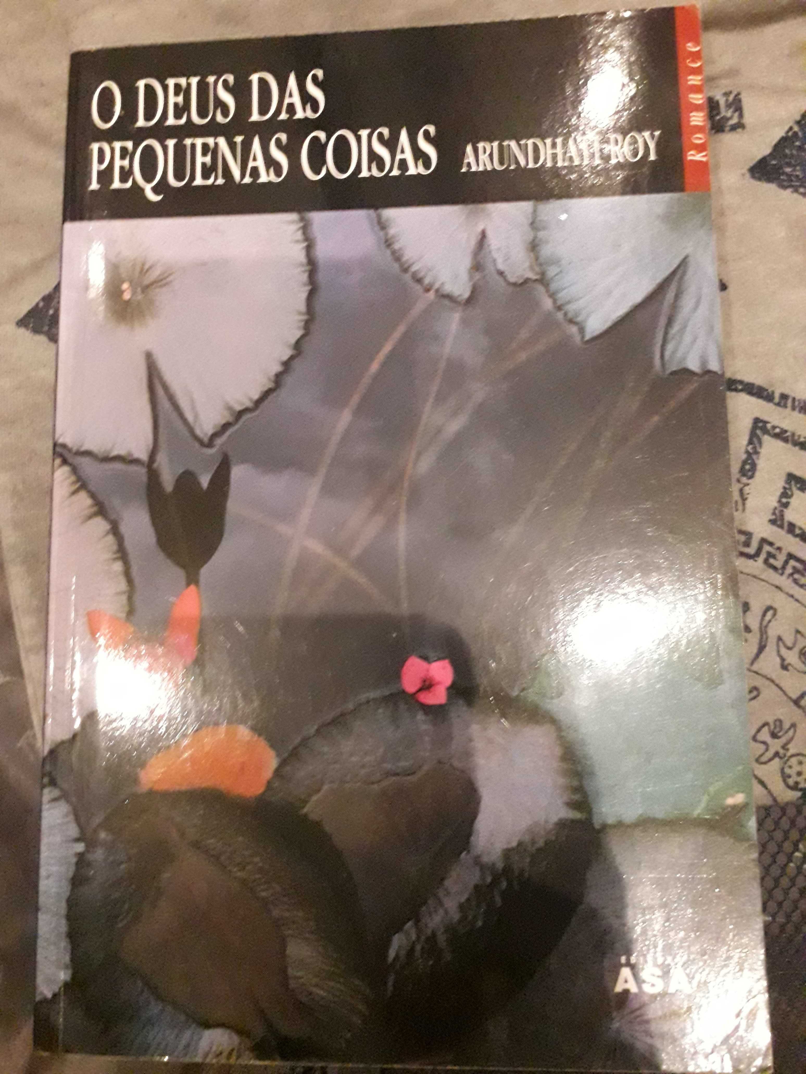 Deus das pequenas coisas - Arundhati roy