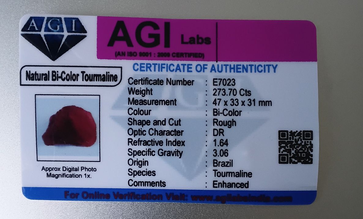 Turmalina Bicolor 273.70 ct Com Certificado