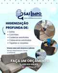 Limpeza Profissional de Sofás, Carpetes, Colchões e Cadeiras