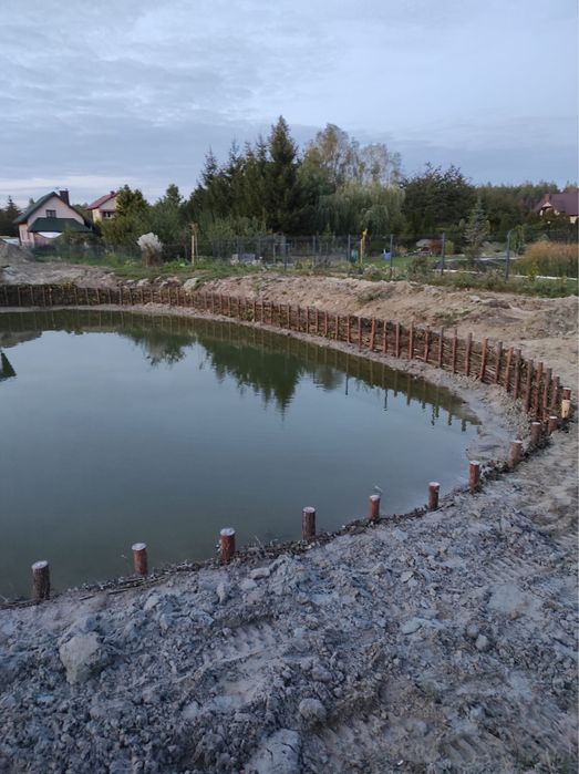 Faszynowanie brzegów stawu zabespieczanie przed osuwaniem faszyna