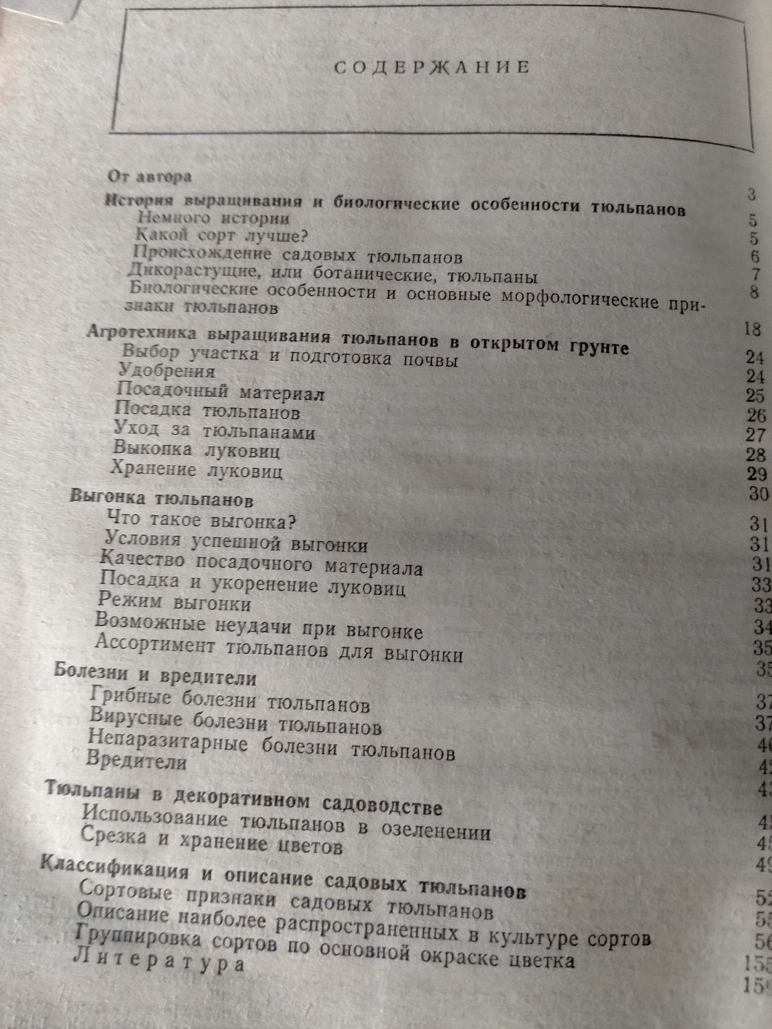 Прикрась свій дім, Тюльпаны, Ваш дом, Подарок молодым хозяйкам